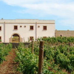 Agriturismo Donna Franca